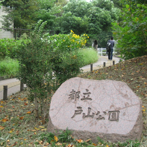 Metropolitan Toyama park